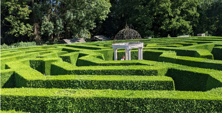 Hedging Policy | HCFX